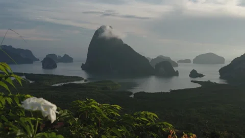 Cinematic Tracking Shot Through Tropical Flowers of Majestic Samet Nangshe Vidéo 334641711