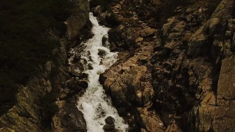 Cinematic tracking shot of wild flowing creek in mountains Stock Footage 118595189