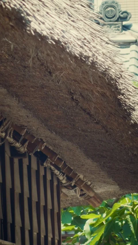 Cinematic vertical close-up pan of a traditional Japanese thatched roof Vidéo 345502104