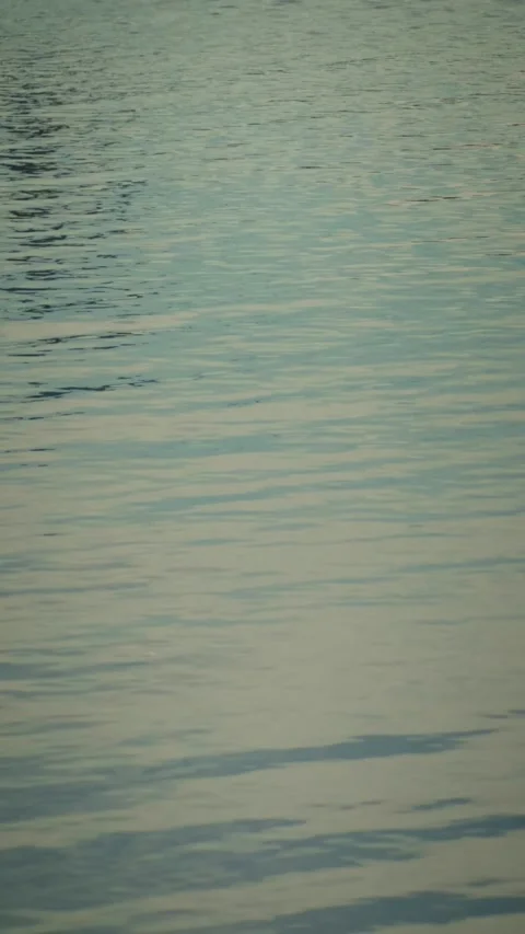Cinematic vertical close-up shot of calm serene water with gentle ripple Vidéo 345489980
