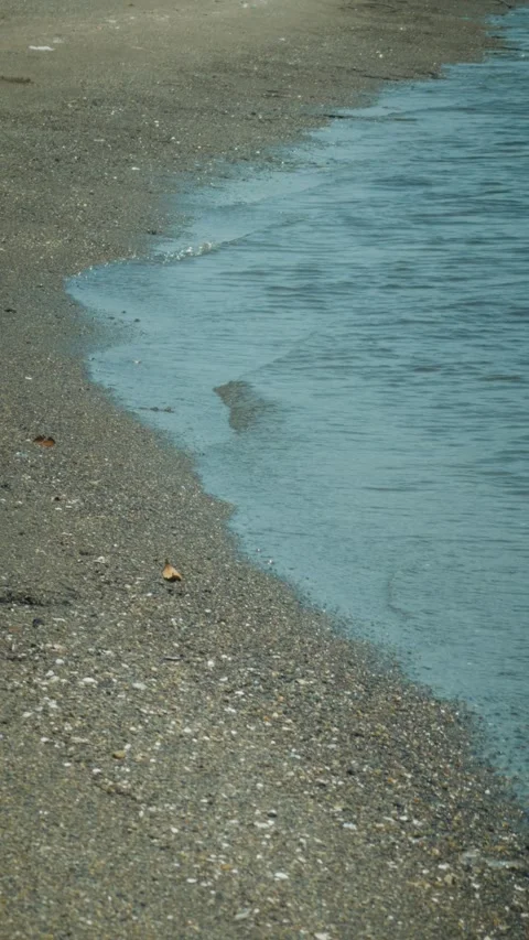 Cinematic vertical close-up shot of gentle clear waves on a sand beach Vidéo 345457905
