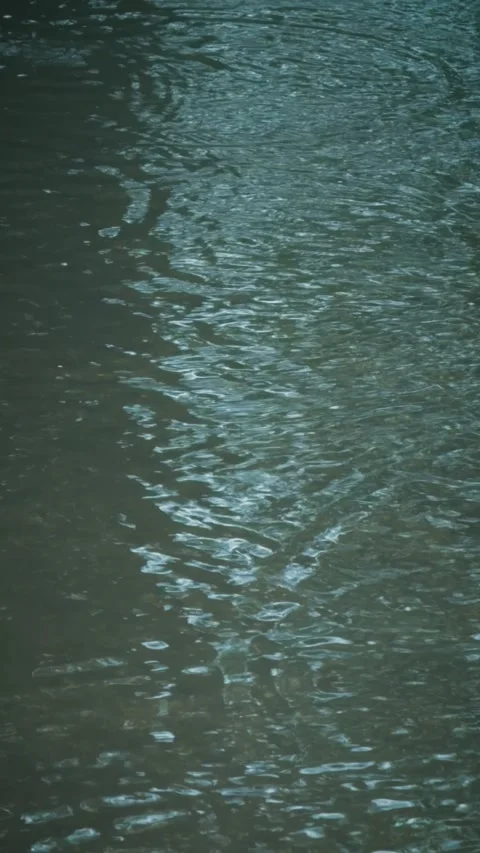 Cinematic vertical close-up shot of gentle water ripples on a surface Stock Footage 345458119