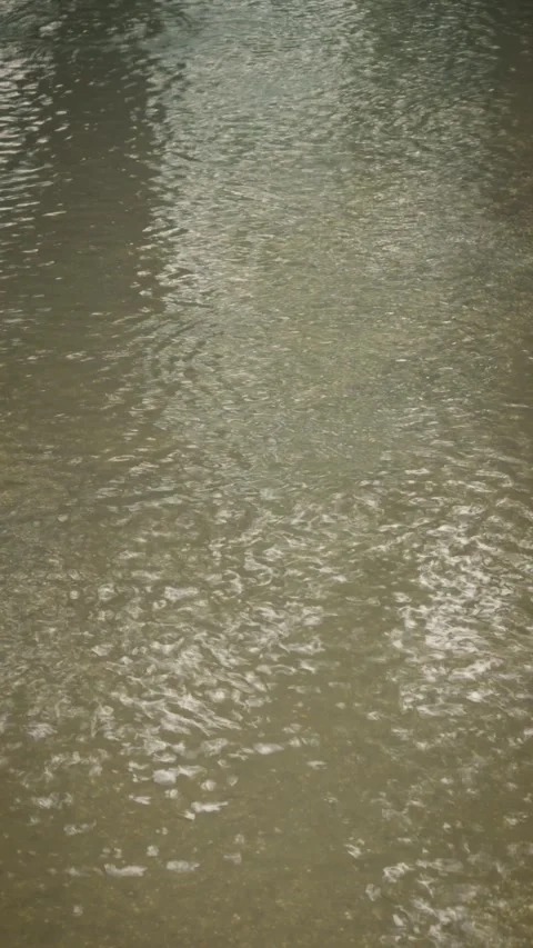 Cinematic vertical close-up shot of gentle rain falling on water surface Vidéo 345458229