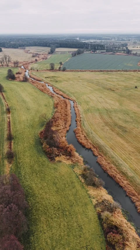 Cinematic vertical drone flight over the winding Barycz River Stock Footage 324762947