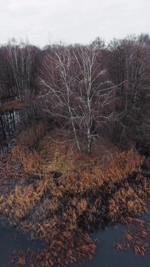 Cinematic vertical drone shot flying backward moody autumn landscape Stock Footage 324762926