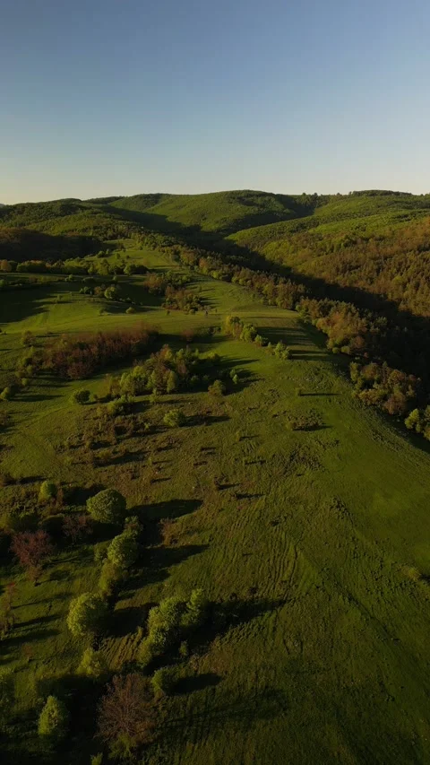 Cinematic vertical drone view of green hills and meadows in spring light Stock Footage 308165939