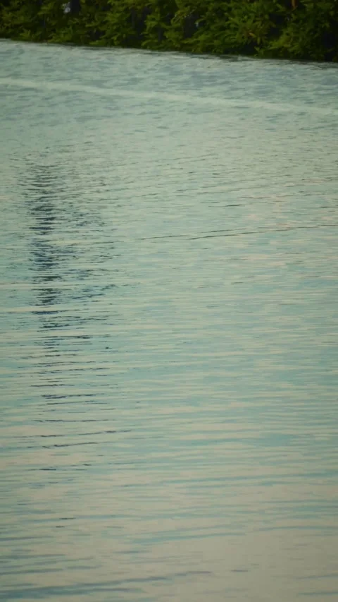 Cinematic vertical shot of calm river water surface with gentle ripples Vidéo 345490099