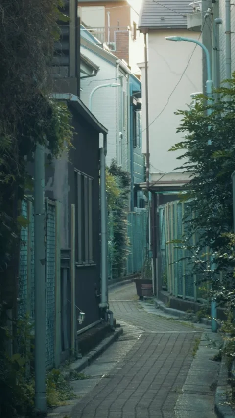 Cinematic vertical shot of a narrow brick paved alleyway in Japan Vidéo 345458691
