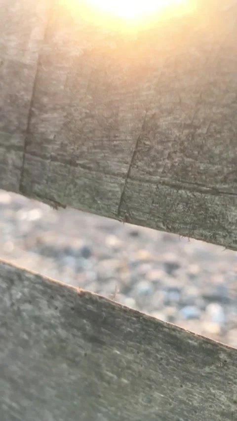 Cinematic video on the beach Video stock 225569324