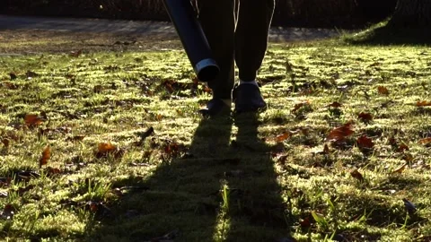 Cinematic video of a man using a leaf blower on a lawn and getting it Stock Footage 221915712