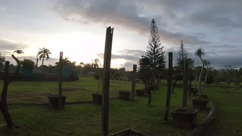 Cinematic video in the park at sunset Stock Footage 219348428
