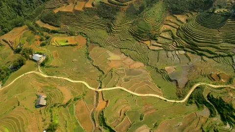 Cinematic video of a walking path surrounded by terraced rice fields in Sapa Video stock 314844326