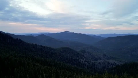 A cinematic view from above of a meadow between green forest spruce trees o.. Stock Footage 242297984