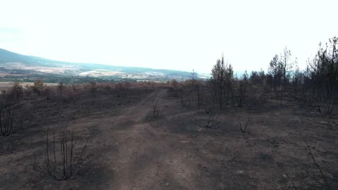 Cinematic view of damage caused by global warming and climate change problems. Stock Footage 160850282