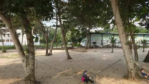 Cinematic view of Drone passing tree, couples and beach Stock Footage 148011756