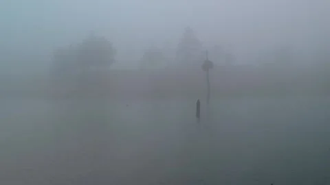 A cinematic view during a frog movement over a Lagoon in Honduras Stock Footage 139946461