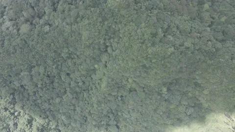 Cinematic view of hill range from zenith slow motion above tropical mountains Stock Footage 163933065