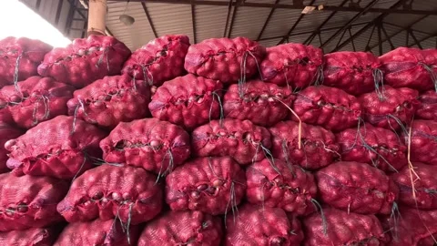 Cinematic view of the onion sacks arranged in the loading section of market yard Stock Footage 305987147