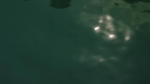 Cinematic View of Sparkling Sun Glare on Emerald Water Surface from a Moving Stockbeeldmateriaal 334643786