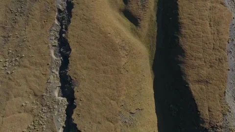 Cinematic View Of Squirrel, Wildlife In Deep Forest Stock Footage 323856027