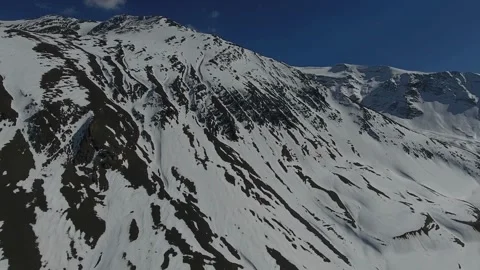 Cinematic View Of Squirrel, Wildlife In Deep Forest Stock Footage 323858950