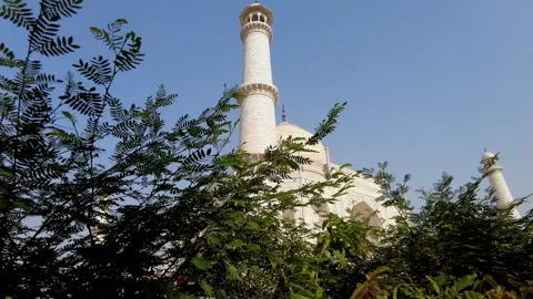 Cinematic View of Taj Видео 183008835
