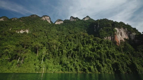 Cinematic View of Towering Limestone Cliffs Covered in Lush Tropical Rainforest 库存影片 334680444