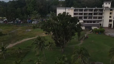 Cinematic view of tree and view park during Dusk Stock Footage 148011785