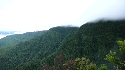 Cinematic View of Valley and Distant Waterfall, Lamington NP Stock Footage 283833322