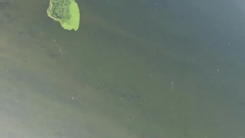 Cinematic View Of Volga River With Natural Beauty In Russia Video stock 323748341