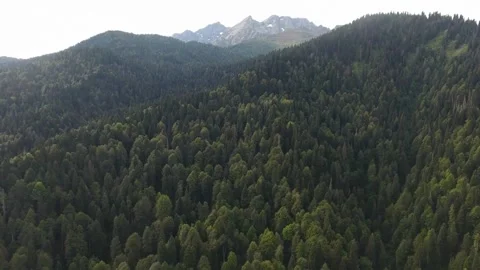 Cinematic View Of Volga River With Natural Beauty In Russia Stock Footage 323863053