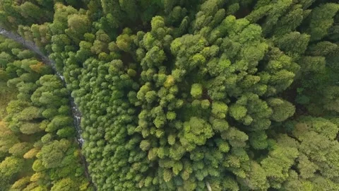 Cinematic View Of Volga River With Natural Beauty In Russia Stock Footage 323863553