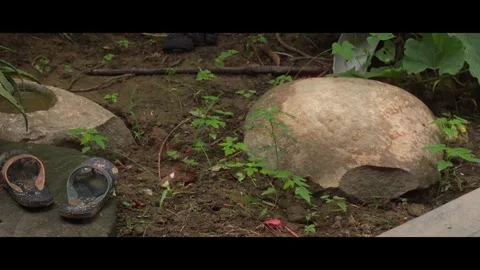 Cinematic view of a wild place. Video stock 312805743