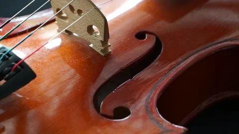 Cinematic viola Footage Stock Footage 257888429