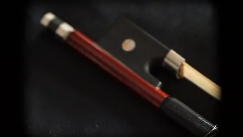 Cinematic viola Footage Stock Footage 257888477