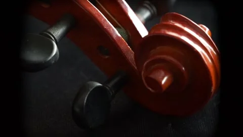 Cinematic viola Footage Stock Footage 257888484