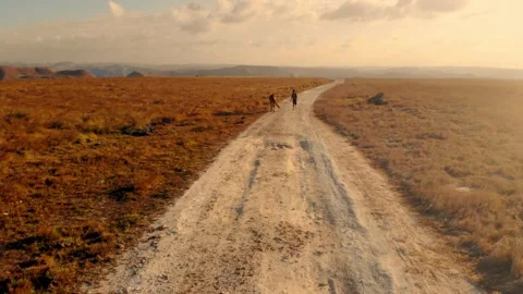 Cinematic visuals that bring nature’s magic to your screen Stock Footage 304891315