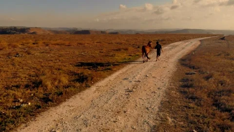 Cinematic visuals that bring nature’s magic to your screen Stock Footage 304945771