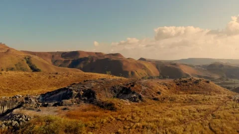 Cinematic visuals that bring nature’s magic to your screen Stock Footage 304945799