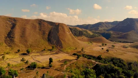 Cinematic visuals that bring nature’s magic to your screen Stock Footage 304945883