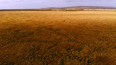 Cinematic visuals that bring nature’s magic to your screen Stock Footage 305016808