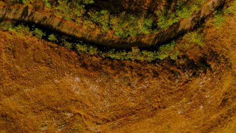 Cinematic visuals that bring nature’s magic to your screen Stock Footage 305016834