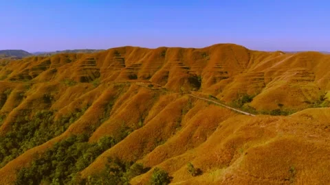 Cinematic visuals that bring nature’s magic to your screen Stock Footage 305016845