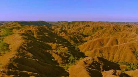 Cinematic visuals that bring nature’s magic to your screen Stock Footage 305016865