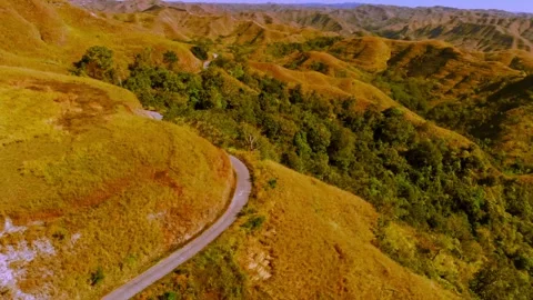 Cinematic visuals that bring nature’s magic to your screen Stock Footage 305017011