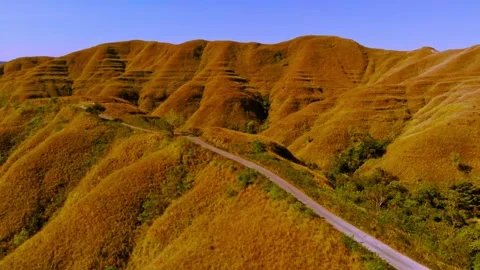 Cinematic visuals that bring nature’s magic to your screen Stock Footage 305017036