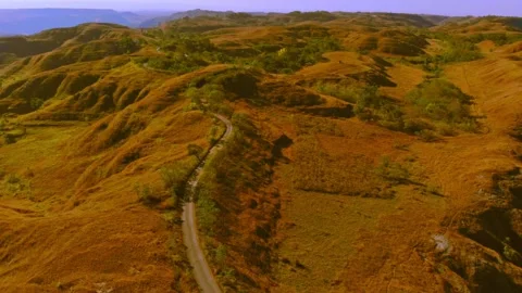 Cinematic visuals that bring nature’s magic to your screen Stock Footage 305017117