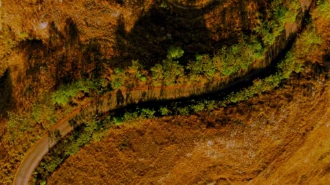 Cinematic visuals that bring nature’s magic to your screen Stock Footage 305017284