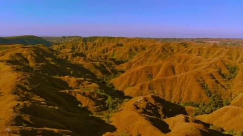 Cinematic visuals that bring nature’s magic to your screen Stock Footage 305017287