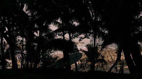 Cinematic Walk with Surfboard 動画素材 309343849